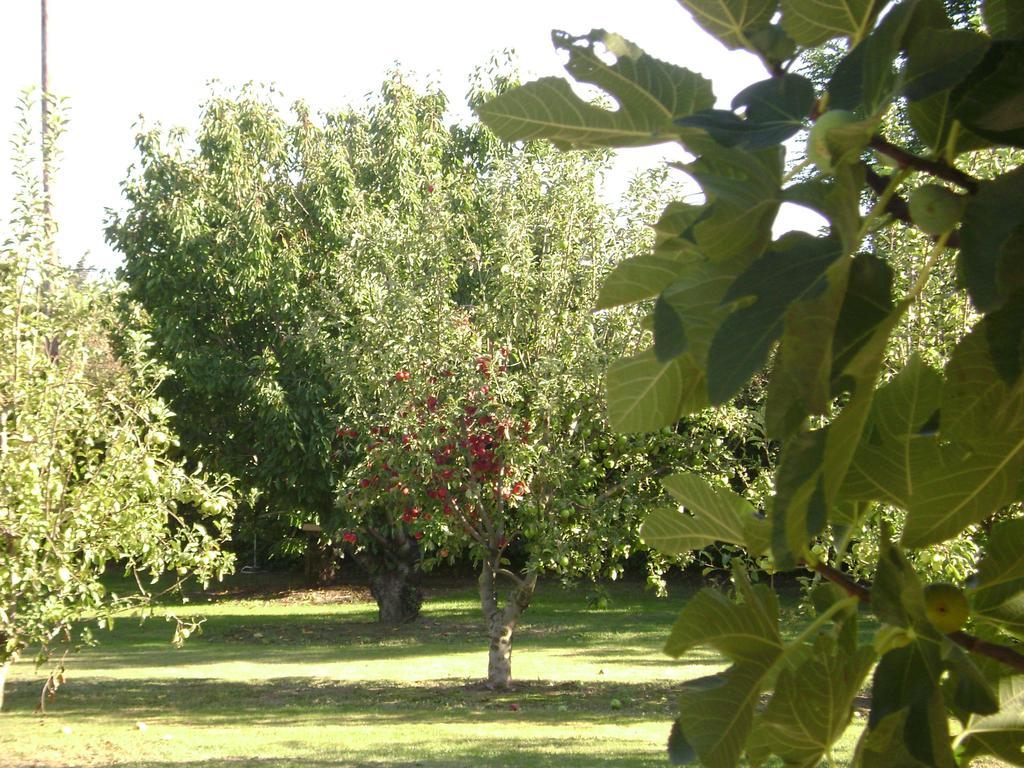 Gite La Gourmandine Saint-Andiol Kültér fotó