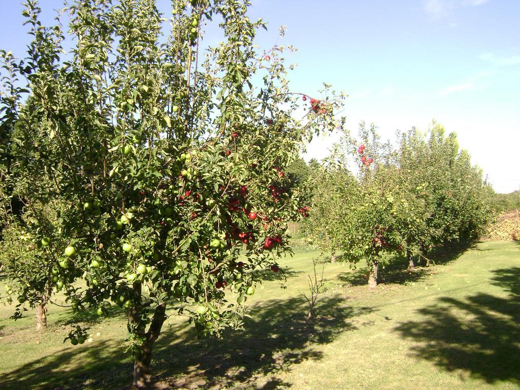Gite La Gourmandine Saint-Andiol Kültér fotó