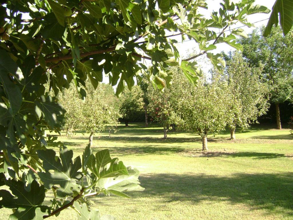 Gite La Gourmandine Saint-Andiol Kültér fotó